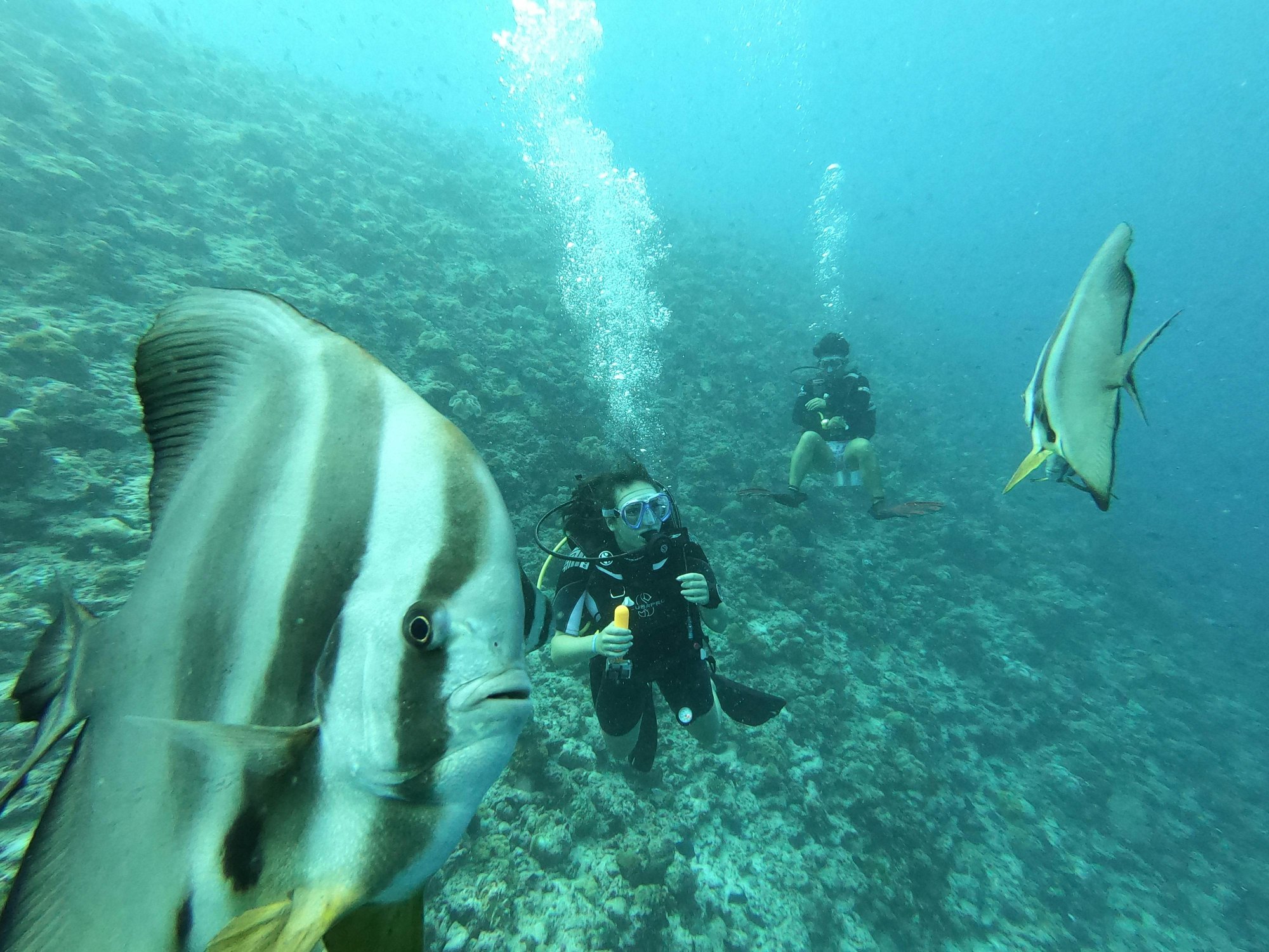Les atolls et leurs lagons vus depuis un hydravion